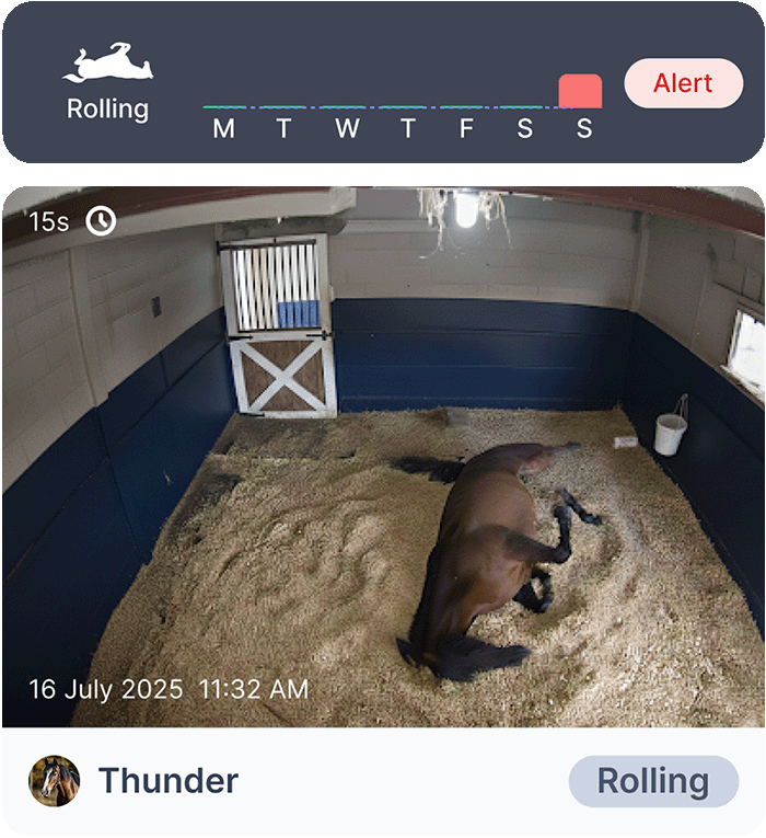 Video footage of a horse named Thunder rolling in its stall, with an alert triggered and rolling behavior detected on a weekly timeline interface.