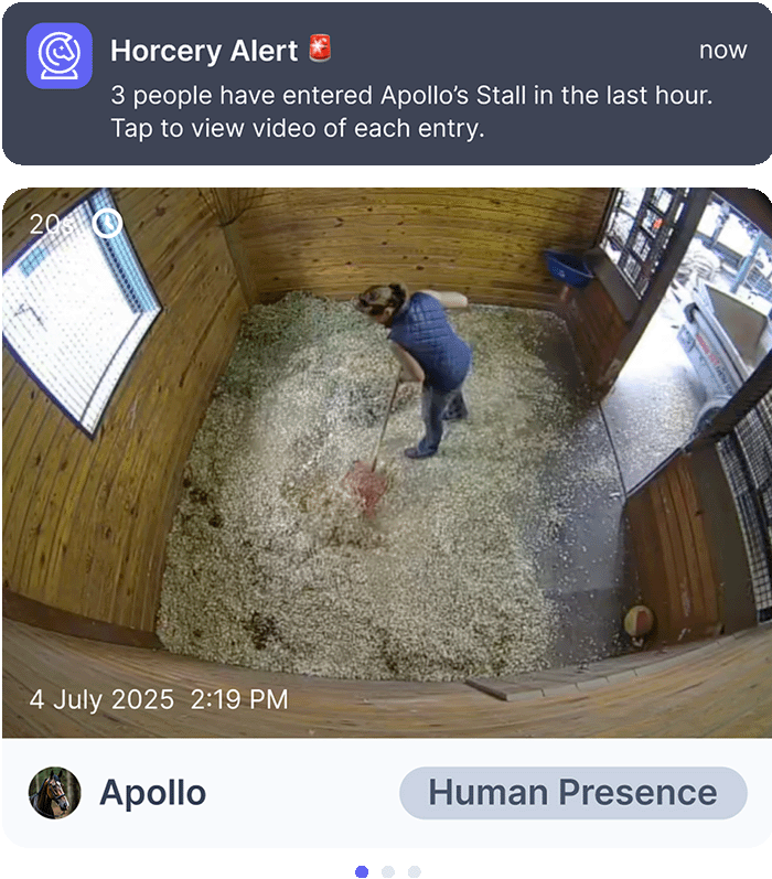 Horcery alert showing a person entering the stall of a horse named Apollo, with video footage and a notification indicating multiple entries in the past hour.
